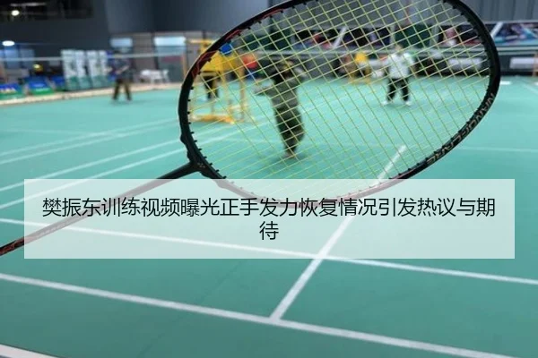 樊振东训练视频曝光正手发力恢复情况引发热议与期待