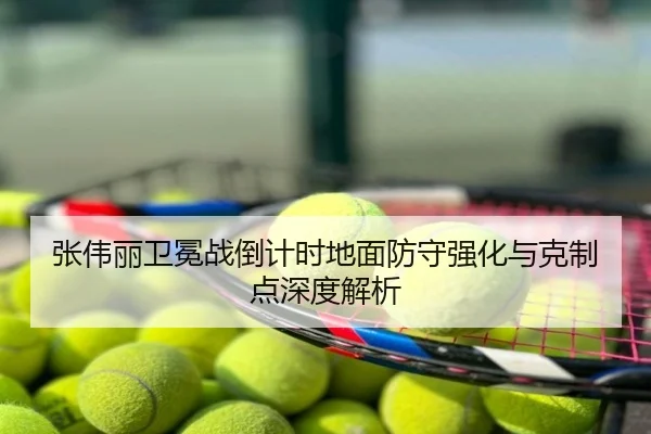 张伟丽卫冕战倒计时地面防守强化与克制点深度解析